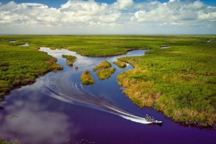Things To Do Airboat Adventures